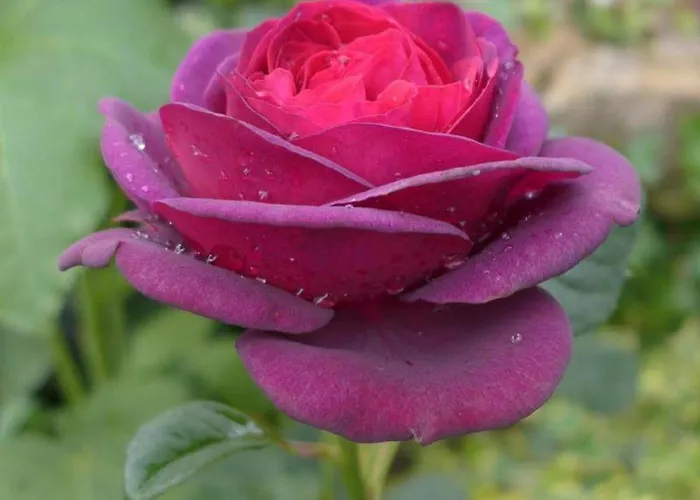 住宿加早餐酒店 Rheinhessen Wintersheim