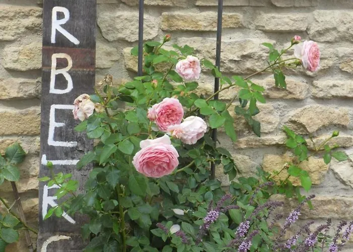 Rheinhessen Wintersheim