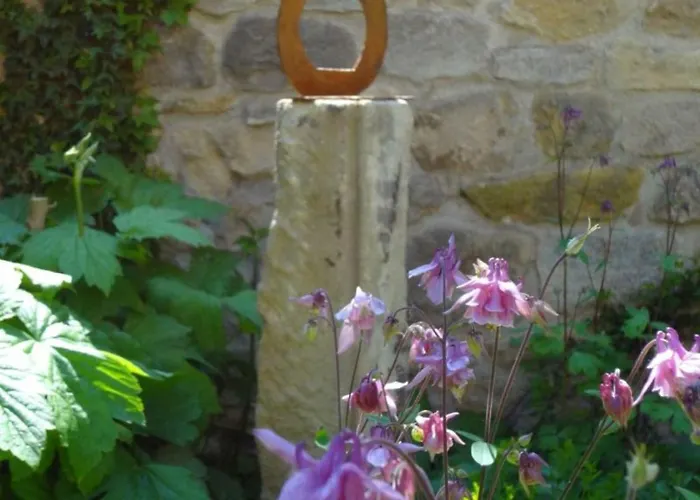 Rheinhessen 住宿加早餐酒店 3*