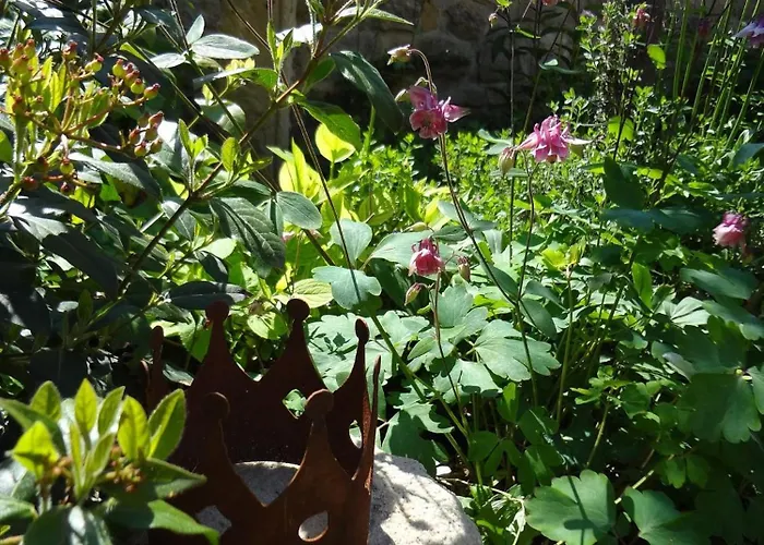 Rheinhessen Wintersheim